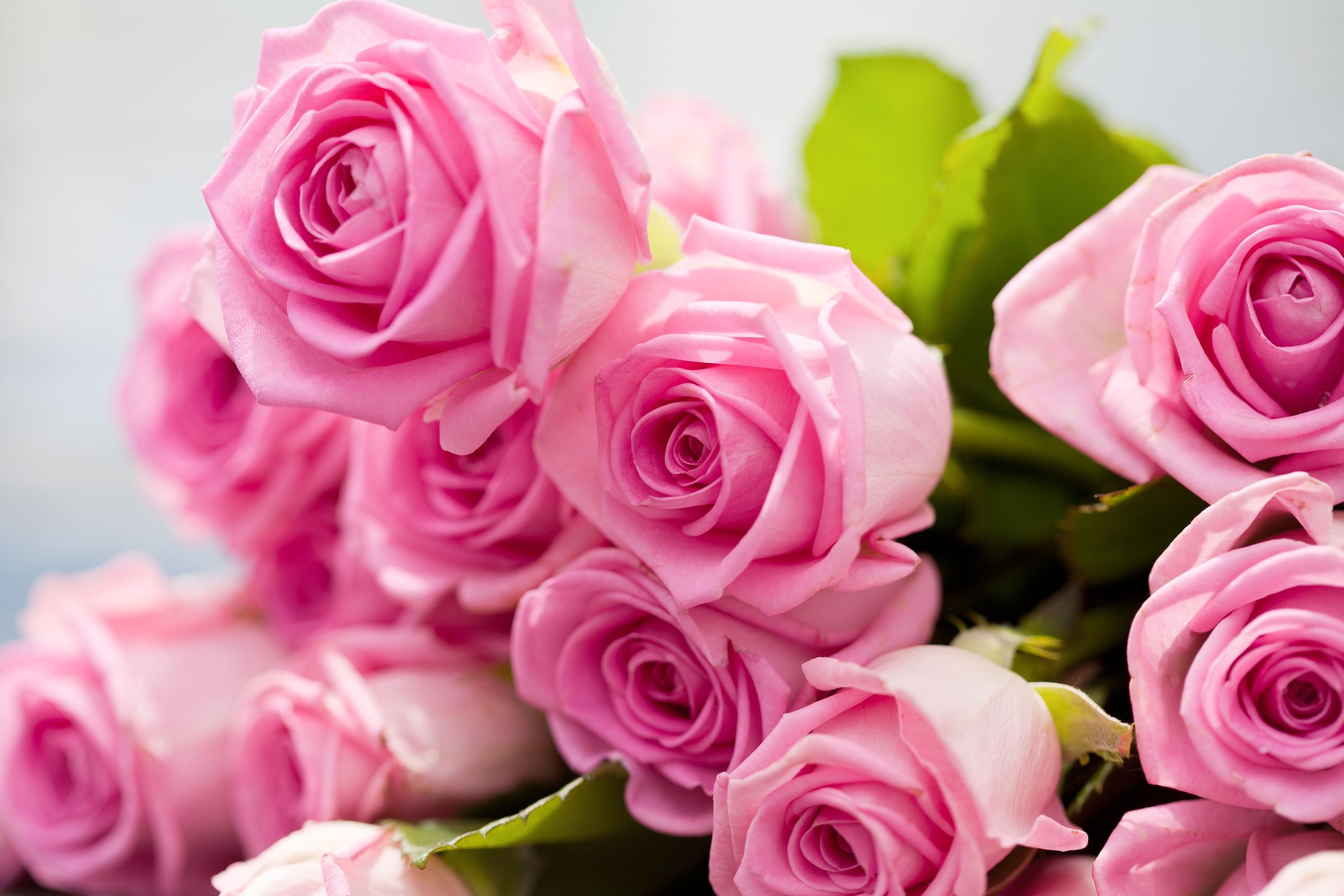 Sending Love and Support Internationally with Sympathy Flower Delivery London